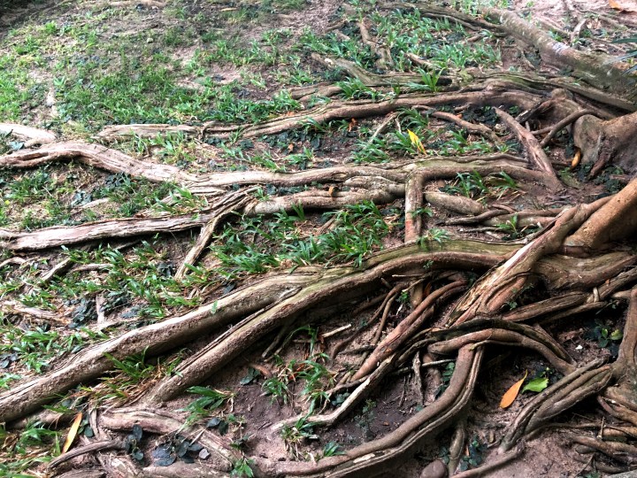 Eu sunt Ana și pierd&nbsp;lucruri