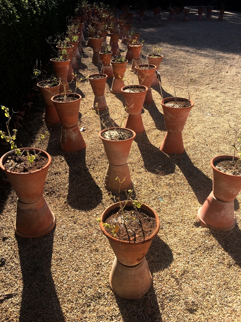 010aaa03aa8ddcb2574a0b1a0f41ad44d1c5368f80