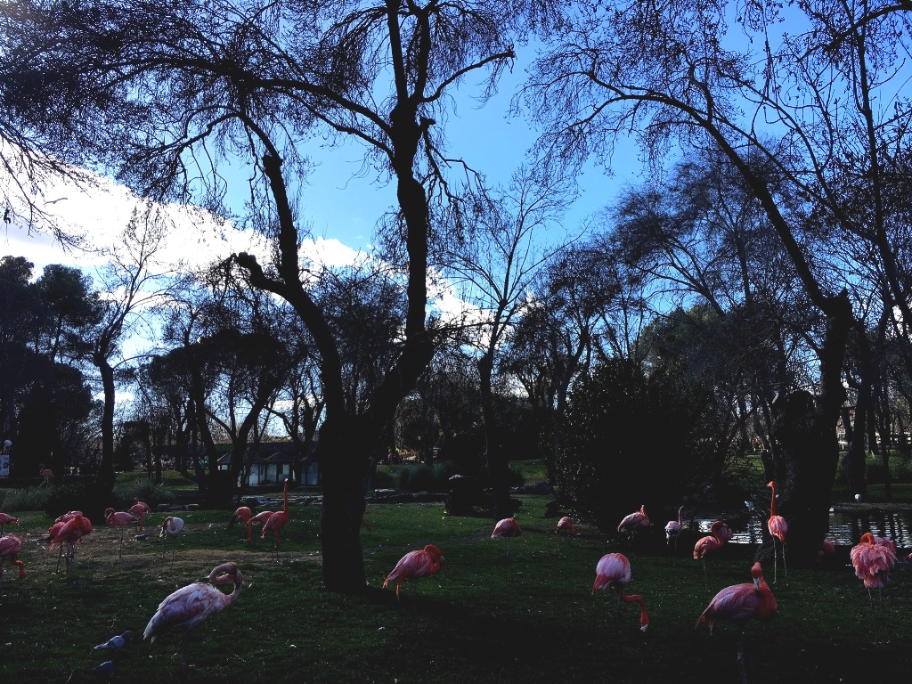 011a4806cba7ff2c6eef463e61c348ff536940ed5f