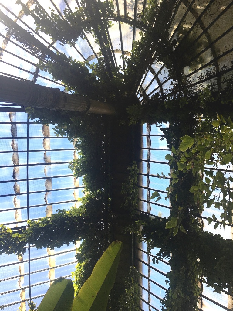 012b61deba9f18437a2138179877099e9b1f1e54a6