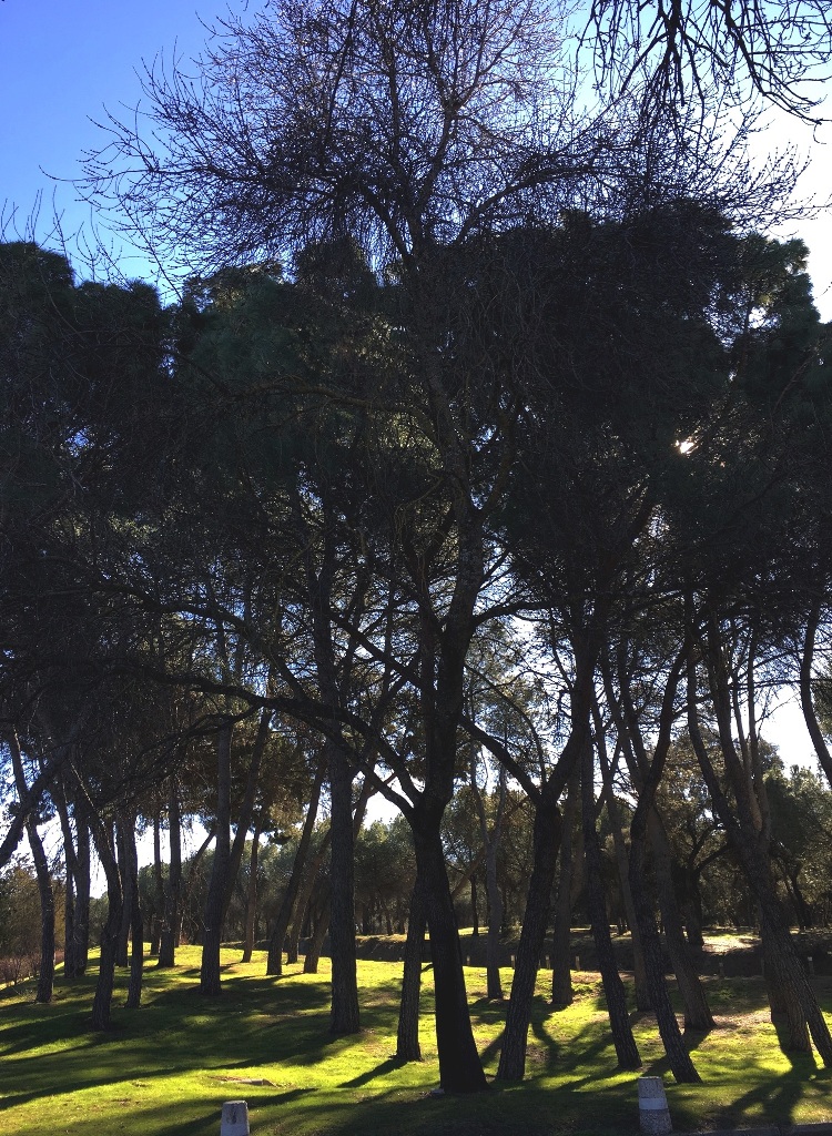 0130c7c4beb7b116a25d6f3b1d4e21c9e144e30f48