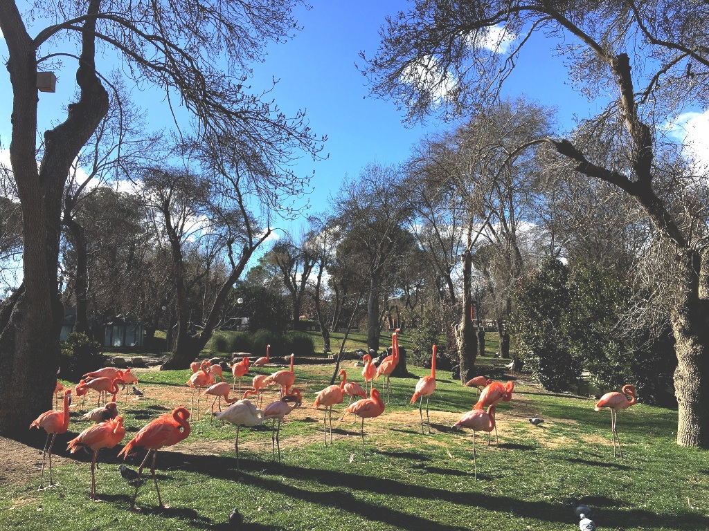 0136be368b02f4891ca4701fd6c2e6c752a974f881