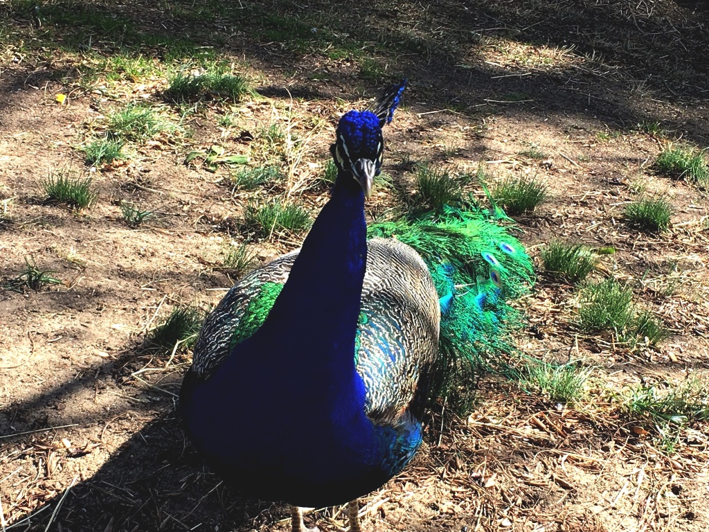 0138dea315b1a1f5c21f6affd85557bdb9bd76572d