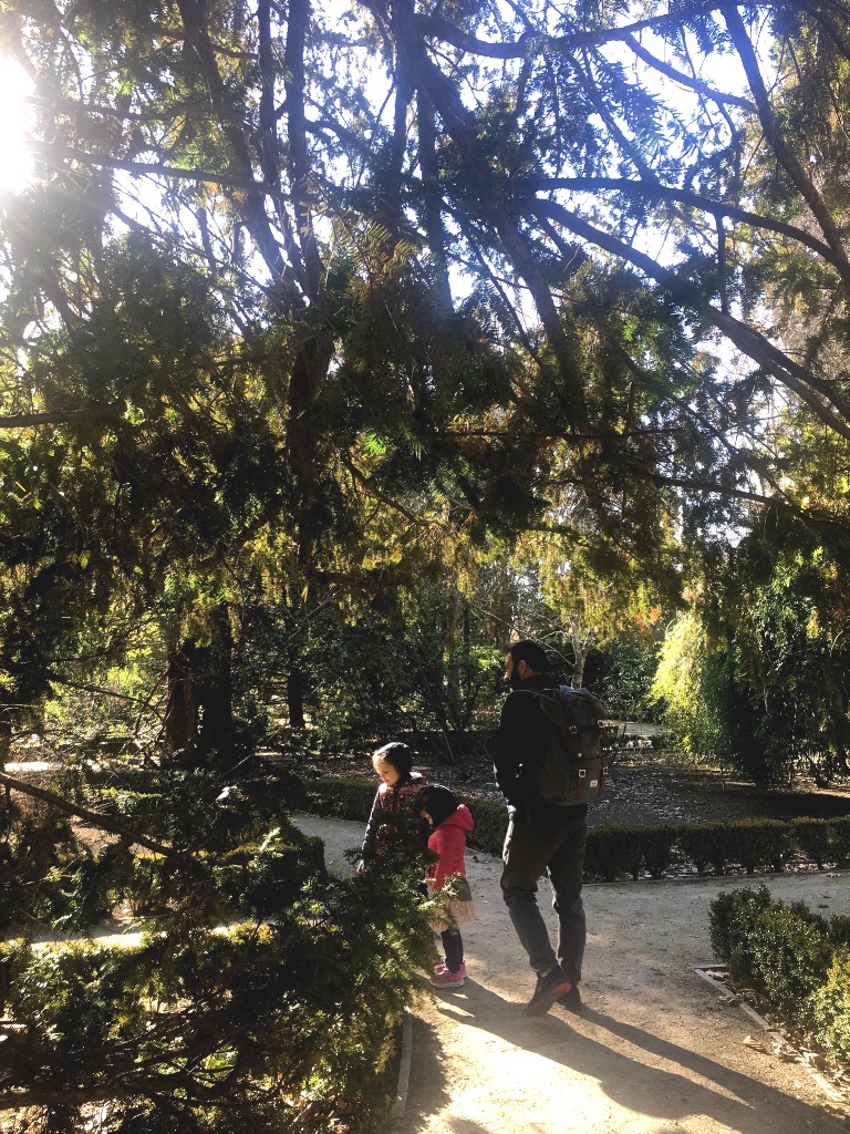 013e77cae221c2a5247d3656e776a1aaad5e222950