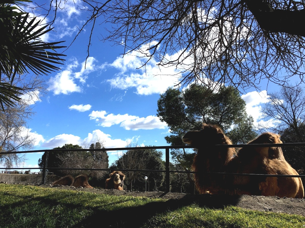 01435c9e8fe20b7edcc51aa0623dfb309e35c5f94f