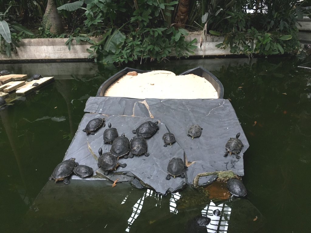 0150f3419f9628b500db53739eb6b6c8d0c8f5c8a7