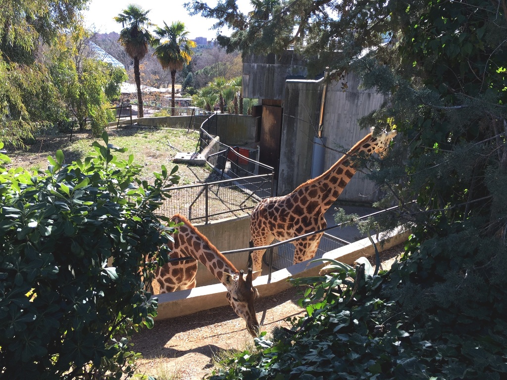 016271ec32d26f0df6c98d37fd05574fd75a2394a8