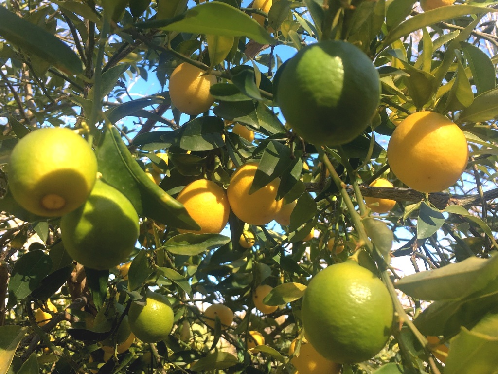 0167210d1a813f9f223f5475b2683b8f16f01ba1ab