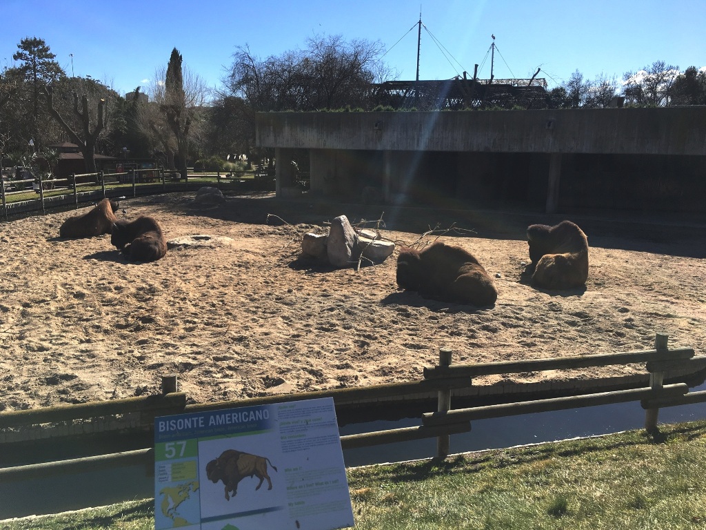 016915811cbf846f2f9f3f861e269871a819cd8bbe