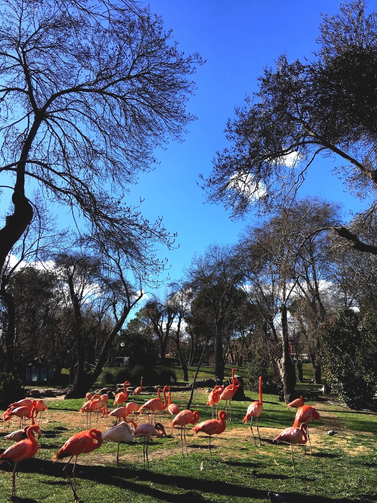 017816166aa9bde63089c233347755112610c1abfe