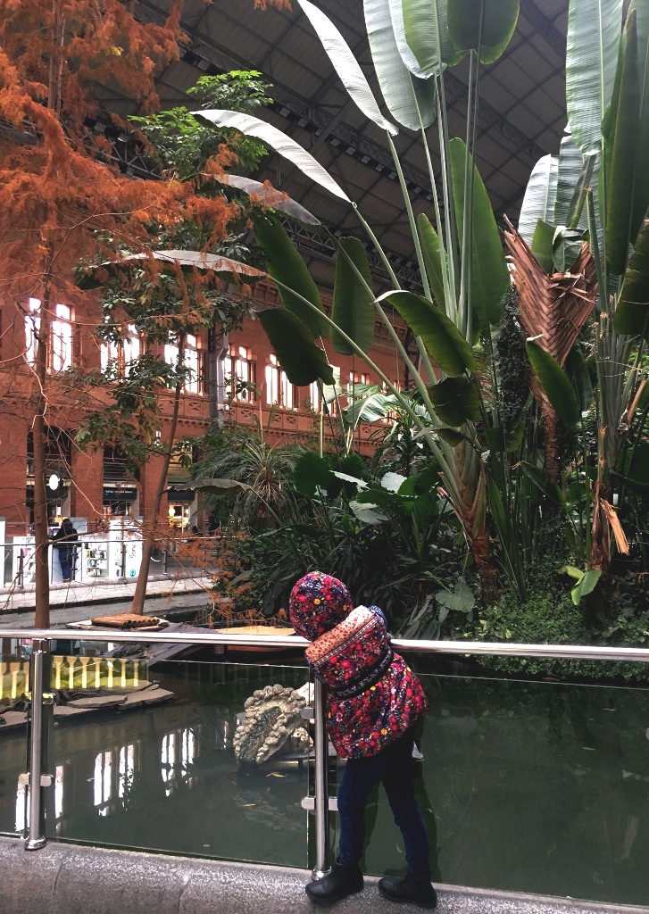 017bc6d7456c6c12a420d7177844483e421a2e4bfd