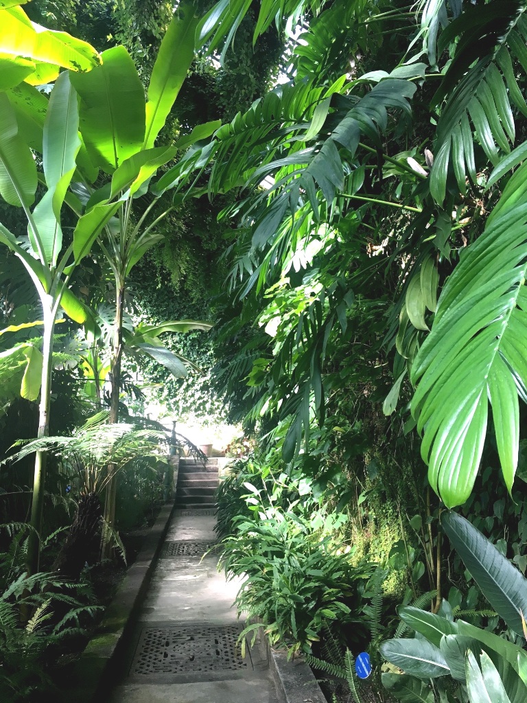 0182dee211330a2799cccfe39fd14dd0384e8d3137