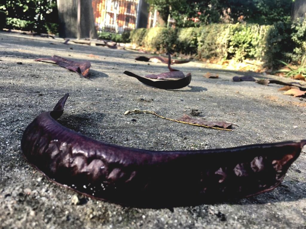 018c28e1fd13ceb9eb747785b3d0831447df1bc784