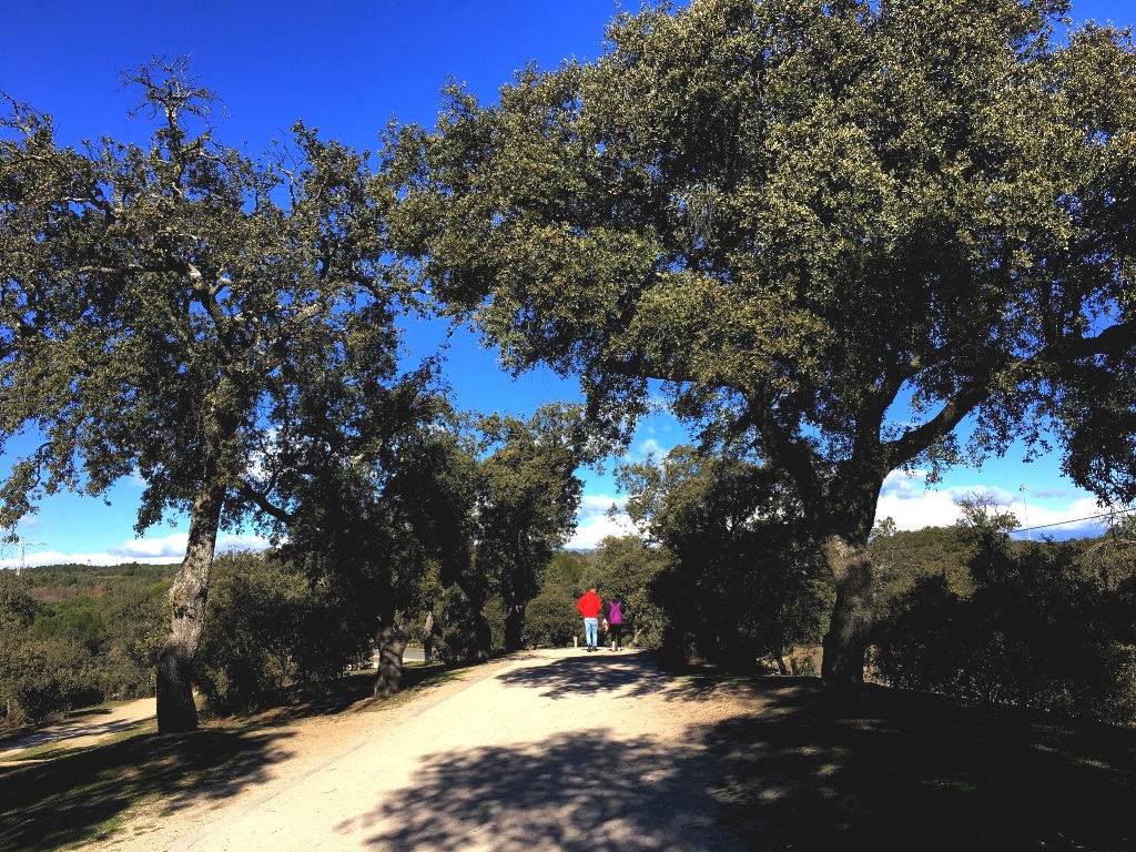 018ec2ca9e23b0b0ccf1d077d0783a0957cfc30e01