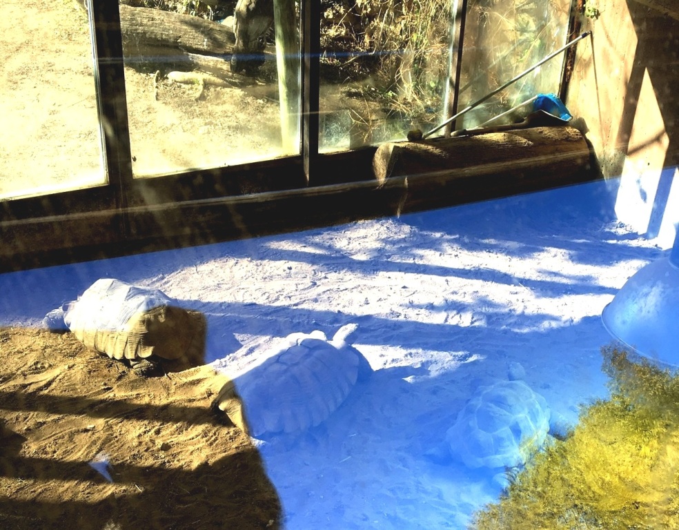 0192245e10170eb039f2fc7ab07dd68e8676711eea