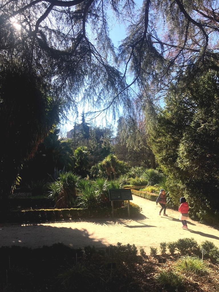 019d9bd52970093d8419769b6eda2195e3962d97c5