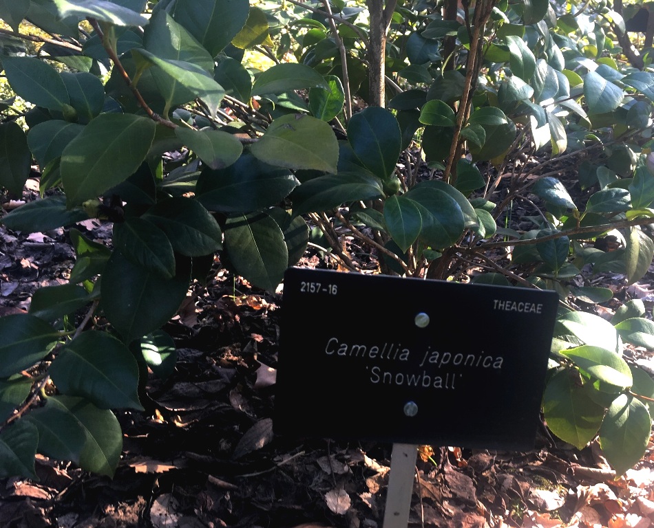 01aaed9fac9671b8b90b96677b526aa1fb299fdd37