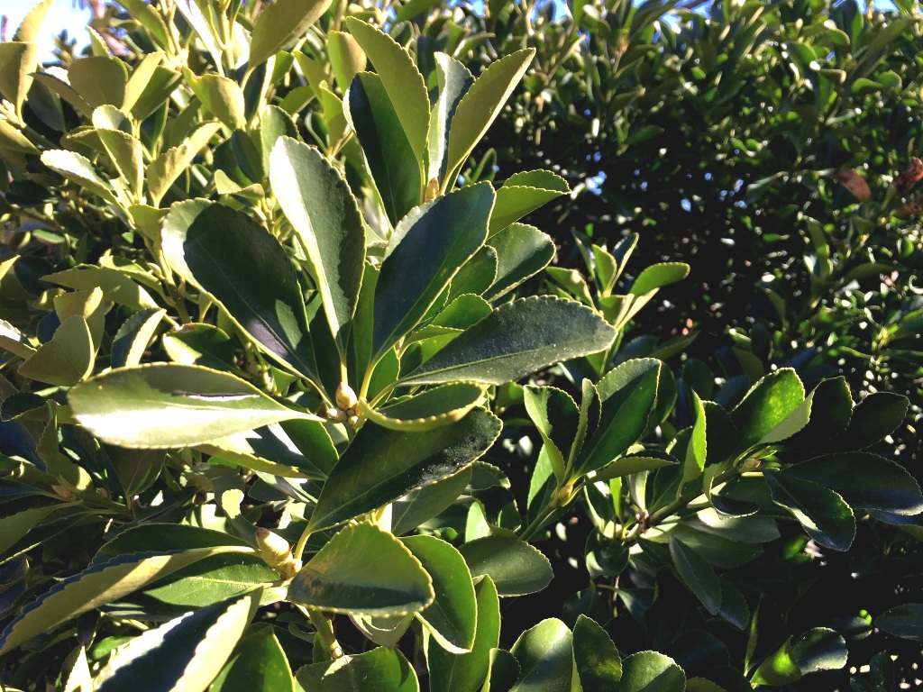 01bc17346e33f932d13fe032c9f96005823a078f3e