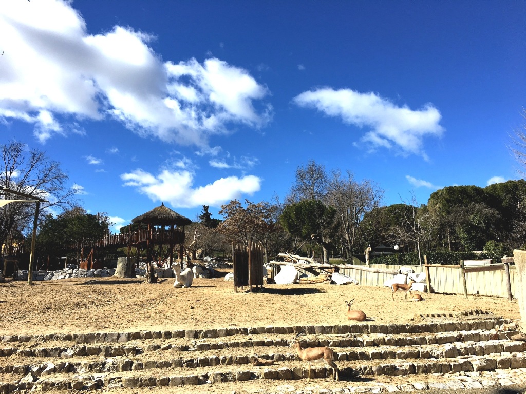 01ce6b9ee52cd3ab566a70b11ac0fa998ba793ea0f