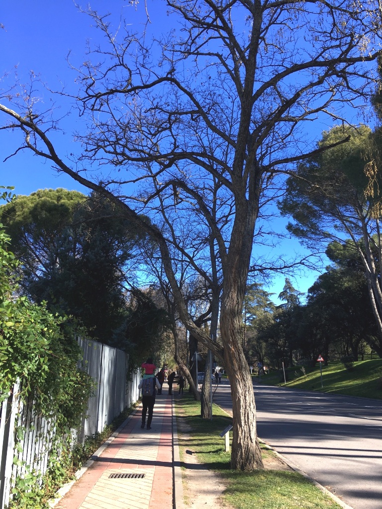 01d5779492a89531f59815d64fce5dfab89e7943e6