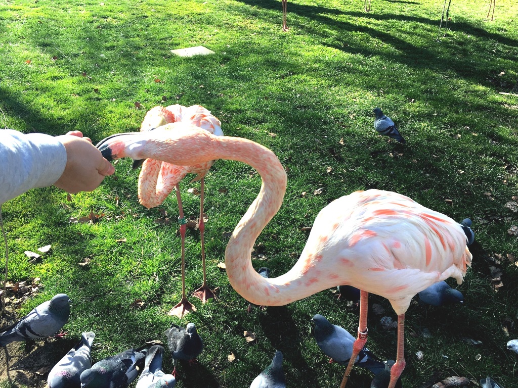 01d5dbd64ec443480d7dfbff1cdfd5acd02b689012