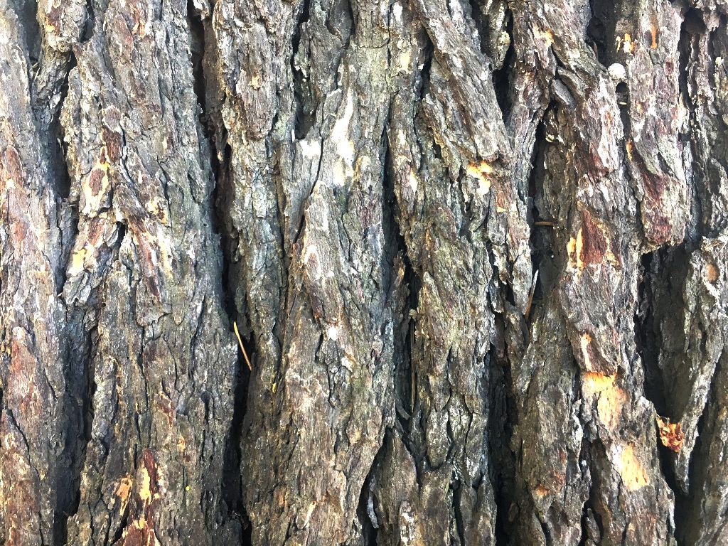 01dcb61ef1d3babee01d38fc8ae7d44a0f6571de9f