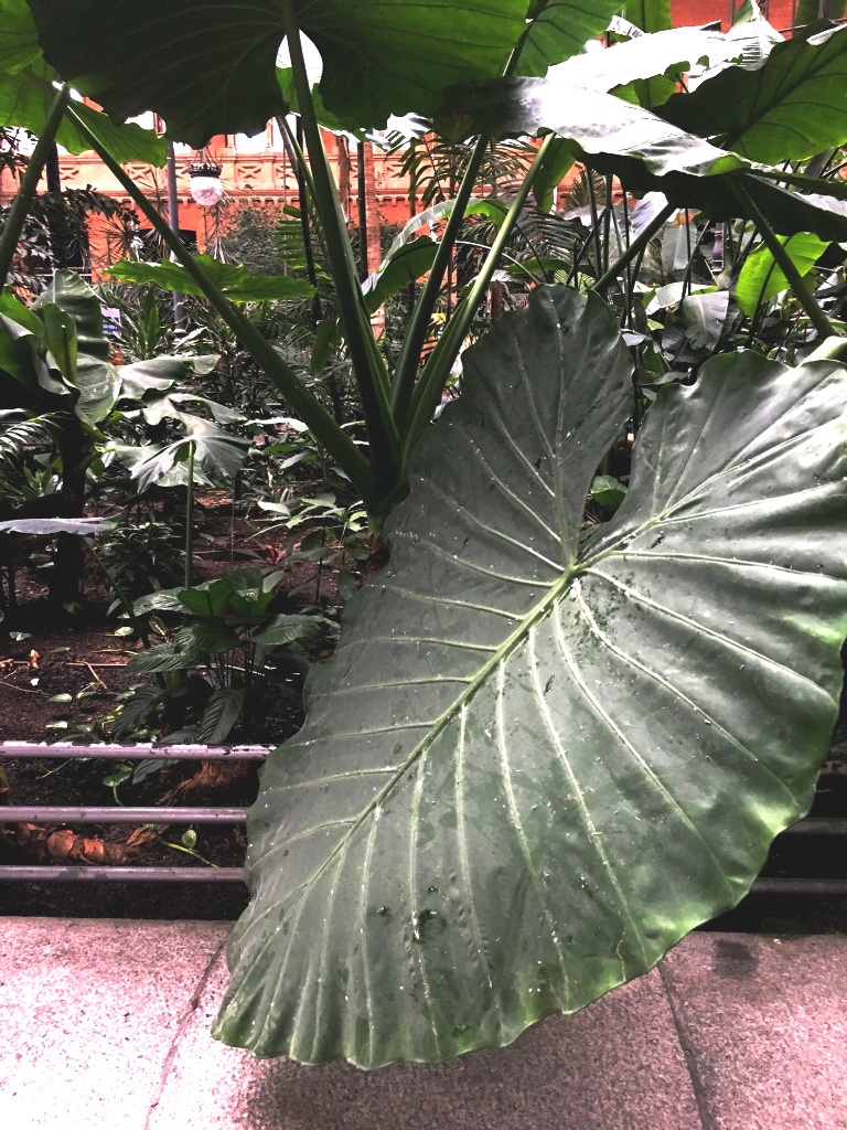 01e154dcec06818b2993ccfe9e8c6cd146f5ebcb57