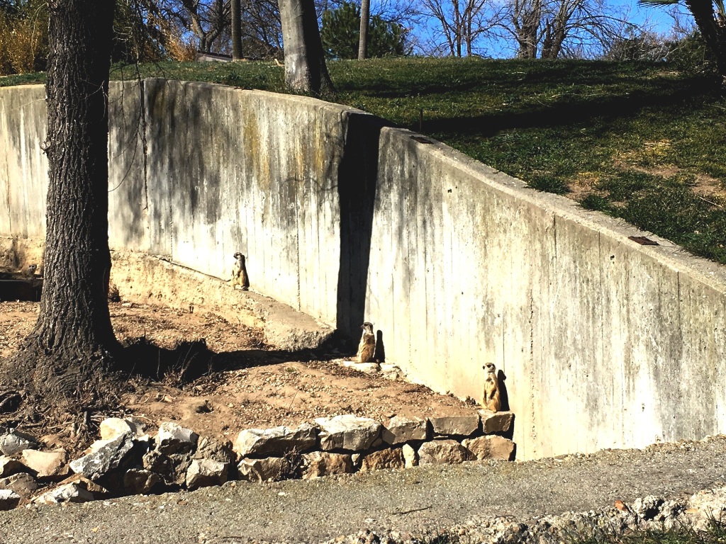 01e2a8a335cfd8d37d0eac8342b6da912e23349839