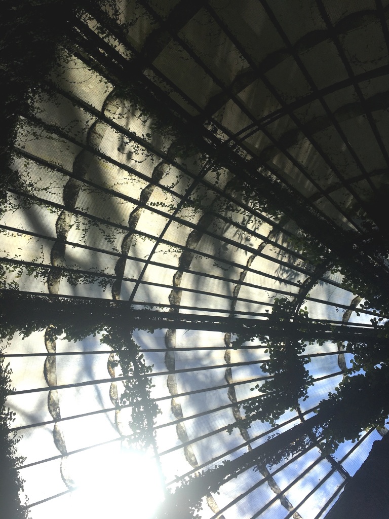 01e3433df4608d652c9c66061c078168fd30cb5b0d