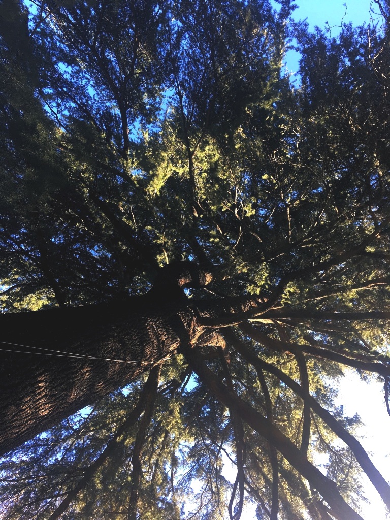 01ea29bb9d5595b5d3d84e57c9d0b9f04bf617c8a2