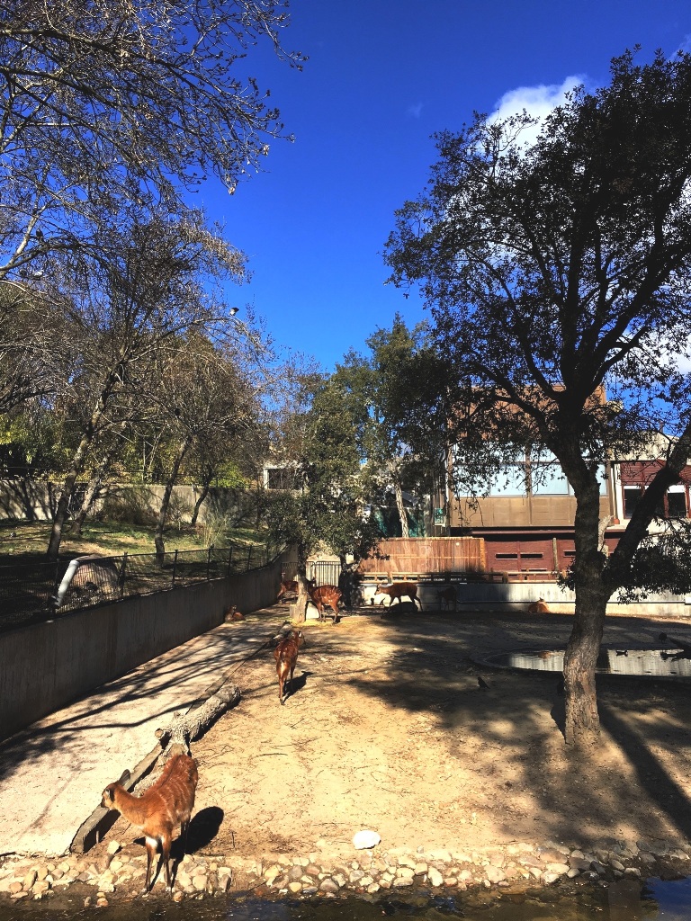 01f0d0a99df49e8730e926b408586fdd2d4300ff9b