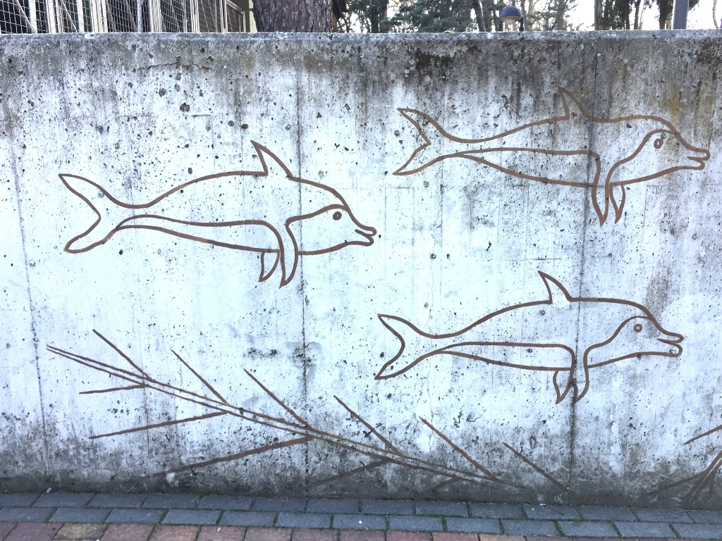 01f57b46dfc72864d717ebb7243faa4d5f1c98ccdf