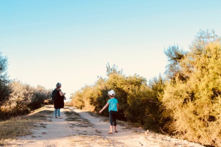 pUPV68bFT3agUfKLSkE3BA_thumb_24f