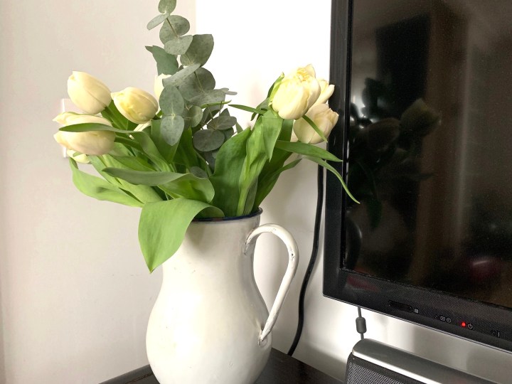 Tot eu sunt și praf de stele și praf de&nbsp;pușcă