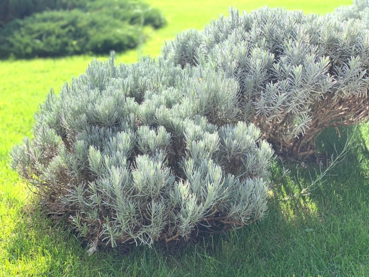 Cum e teritoriul&nbsp;tău?