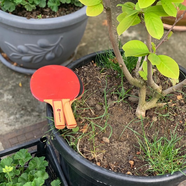 O zi de bunăvoie și nesilită de&nbsp;nimeni